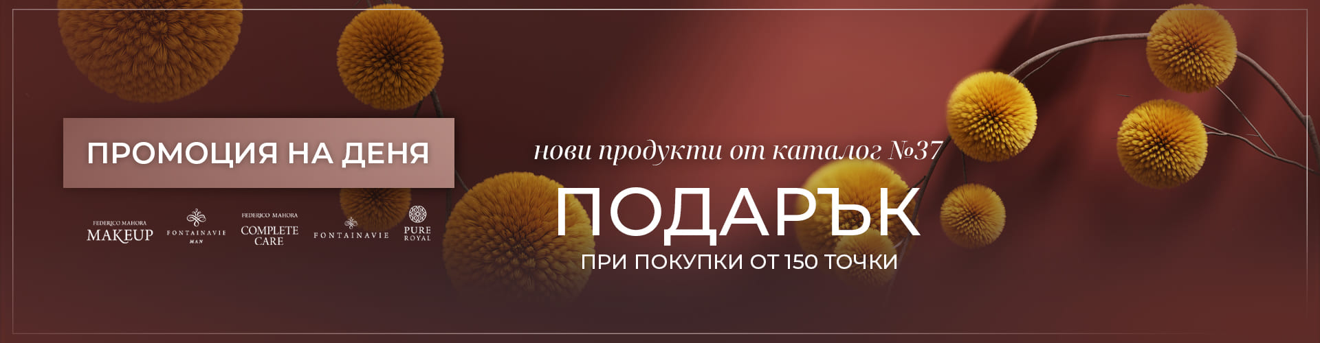 ПРОМОЦИЯ НА ДЕНЯ СКЛАД БЪЛГАРИЯ